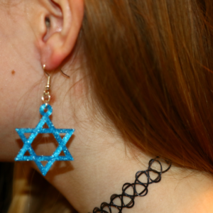 Star of David Hanukkah earrings in a polished silver finish.